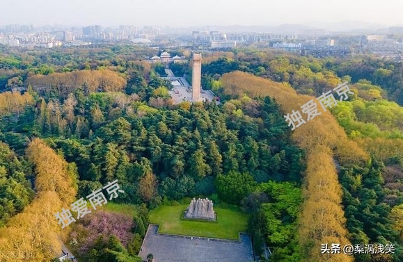 武汉和南京谁成长的更好-4.jpg
